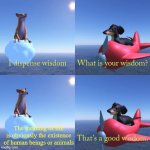 Seriously, is it that hard to define?! | The meaning of life is obviously the existence of human beings or animals | image tagged in dog of wisdom,dogs,the meaning of life,wisdom dog,funny,memes | made w/ Imgflip meme maker