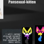 -pansexual-kitten-