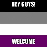 ace flag | HEY GUYS! WELCOME | image tagged in ace flag | made w/ Imgflip meme maker