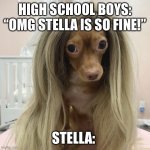 High school girls / boys | HIGH SCHOOL BOYS: “OMG STELLA IS SO FINE!”; STELLA: | image tagged in jessica dog meme | made w/ Imgflip meme maker