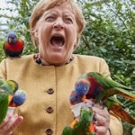 Merkel hat nen vogel