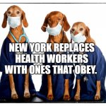 Nurse's week | NEW YORK REPLACES HEALTH WORKERS WITH ONES THAT OBEY. | image tagged in nurse's week | made w/ Imgflip meme maker