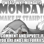 Mondays for Furries be like... | PWEAS. WHY MONDAYS. COMMENT AND UPVOTE IF YOU ARE AND LIKE FURRIES. | image tagged in manday make it stop | made w/ Imgflip meme maker