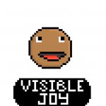 Visible Joy