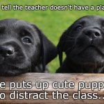 Two Labrador puppies | How to tell the teacher doesn't have a plan yet?? She puts up cute puppies to distract the class... | image tagged in two labrador puppies | made w/ Imgflip meme maker