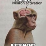 Neuron Activation Monkey | FURRIES; BOTTOM TEXT | image tagged in neuron activation monkey | made w/ Imgflip meme maker