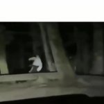 Dudes walking confidently through a forest at night GIF Template