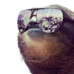 Sloth sunglasses transparent