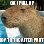 Side Eye Capybara | OK I PULL UP; HOP TO THE AFTER PARTY | image tagged in side eye capybara | made w/ Imgflip meme maker