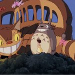 Totoro Catbus