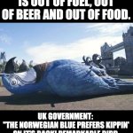 This British Parrot is dead. | THIS BRITISH PARROT IS OUT OF FUEL, OUT OF BEER AND OUT OF FOOD. UK GOVERNMENT: 
"THE NORWEGIAN BLUE PREFERS KIPPIN' ON IT'S BACK! REMARKABLE BIRD, ID'NIT, SQUIRE? LOVELY PLUMAGE!" | image tagged in dead parrot | made w/ Imgflip meme maker