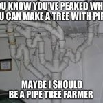 farmin time | YOU KNOW YOU'VE PEAKED WHEN YOU CAN MAKE A TREE WITH PIPES; MAYBE I SHOULD BE A PIPE TREE FARMER | image tagged in pipe tree | made w/ Imgflip meme maker