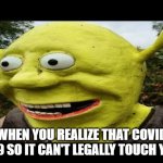 Surprised Shrek | WHEN YOU REALIZE THAT COVID IS 19 SO IT CAN'T LEGALLY TOUCH YOU | image tagged in surprised shrek | made w/ Imgflip meme maker