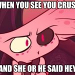 What | WHEN YOU SEE YOU CRUSH; AND SHE OR HE SAID HEY | image tagged in what | made w/ Imgflip meme maker