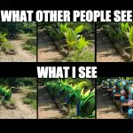 Too Much Splinterlands | WHAT OTHER PEOPLE SEE; WHAT I SEE | image tagged in splinterlands,mantoid,online gaming,blockchain gaming | made w/ Imgflip meme maker