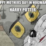 Unsettled tom vietnam | HAPPY MOTHERS DAY IN HOGWARTS HARRY POTTER: | image tagged in unsettled tom vietnam,harry potter | made w/ Imgflip meme maker
