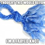 knot | YOU THOUGHT THIS WOULD BE FUNNY? I'M A FRAYED KNOT | image tagged in frayed knot | made w/ Imgflip meme maker