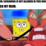 Moms | MOM: SCREAMING IS NOT ALLOWED IN THIS HOUSE; ALSO MY MOM: | image tagged in screaming mr krabs | made w/ Imgflip meme maker