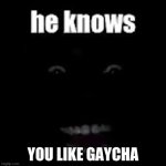 He Knows | YOU LIKE GAYCHA | image tagged in he knows | made w/ Imgflip meme maker