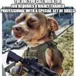 Who you gonna call | THE ONE YOU CALL WHEN THE JOB REQUIRES A HIGHLY TRAINED PROFESSIONAL WITH A SPECIAL SET OF SKILLS; ANIMAL CONTROL | image tagged in animal control officer,tough,professional,pets,jobs,help | made w/ Imgflip meme maker