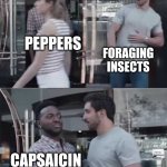 guy blocking guy | PEPPERS; FORAGING INSECTS; CAPSAICIN | image tagged in guy blocking guy,funny meme,insects | made w/ Imgflip meme maker