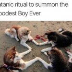doge | image tagged in good boy | made w/ Imgflip meme maker