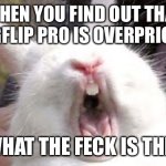 Fact’s | WHEN YOU FIND OUT THAT IMGFLIP PRO IS OVERPRICED:; WHAT THE FECK IS THIS | image tagged in noooooooo | made w/ Imgflip meme maker