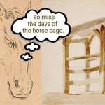 Bad Horse Cage