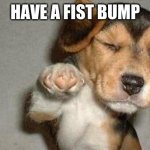Awesome Dog | HAVE A FIST BUMP | image tagged in awesome dog | made w/ Imgflip meme maker