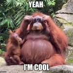 Yeah I'm cool | YEAH; I'M COOL | image tagged in cool monke | made w/ Imgflip meme maker