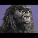 Cadbury Gorilla#AMC