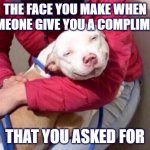 when you get a compliment | THE FACE YOU MAKE WHEN SOMEONE GIVE YOU A COMPLIMENT; THAT YOU ASKED FOR | image tagged in smug pitbull | made w/ Imgflip meme maker