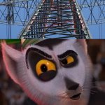 Madagascar Meme meme