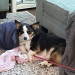 Taters is over your shit