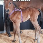 Handbag | HUSBAND: WHATS THE 10000 PURCHASE I SAID NO MORE HORSES.
WIFE: A HANDBAG; THE HANDBAG | image tagged in handbag | made w/ Imgflip meme maker