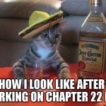 alcohol cat | HOW I LOOK LIKE AFTER WORKING ON CHAPTER 22 HW | image tagged in alcohol cat | made w/ Imgflip meme maker
