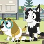 Wait, What? | image tagged in wait what,bluey,memes | made w/ Imgflip meme maker