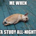 *Sigh Oh my god... | ME WHEN I GOTTA STUDY ALL-NIGHT LONG. | image tagged in tired dog,well shit,oof | made w/ Imgflip meme maker