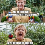 Introvert | ME, AN INTROVET COMFORTABLY SITTING AT HOME; MY EXTROVERT FRIEND WANTS ME TO GO OUTSIDE | image tagged in merkel's week,allow us to introduce ourselves | made w/ Imgflip meme maker
