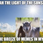 Sunshine | ME: AH THE LIGHT OF THE SUNSHINE; ME: THE BREEZE OF MEMES IN MY NOSE | image tagged in sunshine | made w/ Imgflip meme maker