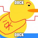 Duck | DUCK; DUCK | image tagged in i ducks,duck,duck gonna hate you,idk,know | made w/ Imgflip meme maker