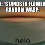 helo | ME: *STANDS IN FLOWERS*
RANDOM WASP: | image tagged in helo | made w/ Imgflip meme maker