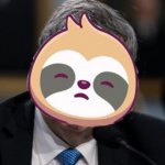 Sloth lawyer