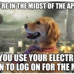 Disaster Dog | WHEN YOU’RE IN THE MIDST OF THE APOCALYPSE; @quantummuthat; AND YOU USE YOUR ELECTRICITY RATION TO LOG ON FOR THE MEMES | image tagged in disaster dog | made w/ Imgflip meme maker