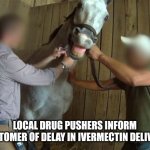HORSE ON DRUGS | LOCAL DRUG PUSHERS INFORM CUSTOMER OF DELAY IN IVERMECTIN DELIVERY | image tagged in wild horse,funny memes | made w/ Imgflip meme maker