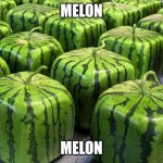 Melon | MELON; MELON | image tagged in melon | made w/ Imgflip meme maker