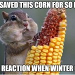 Chipmunk+ Winter | YOU SAVED THIS CORN FOR SO LONG; YOUR REACTION WHEN WINTER CAME | image tagged in chipmunk and corn | made w/ Imgflip meme maker