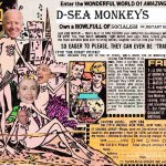 D-Sea Monkeys