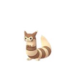 Pokemon Go furret