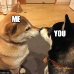 I made a wholesome doggo meme for my bf :3 | ME; YOU | image tagged in doggo boop | made w/ Imgflip meme maker